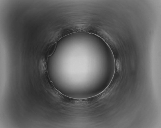 X0000114531107200910191316