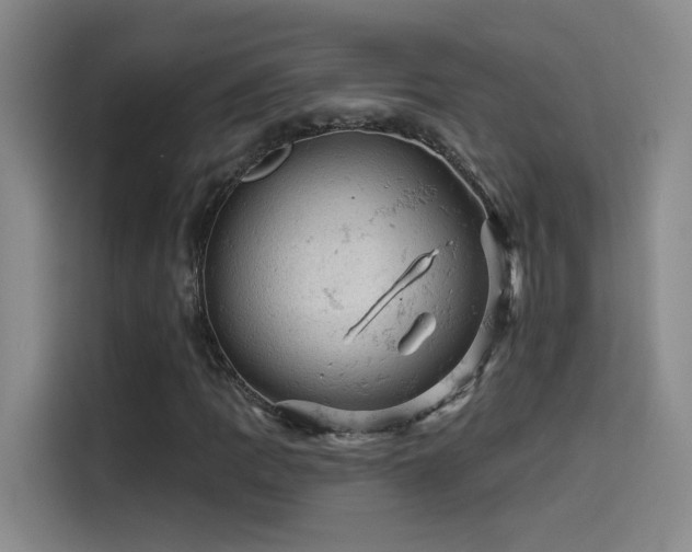 X0000114531109200910191316