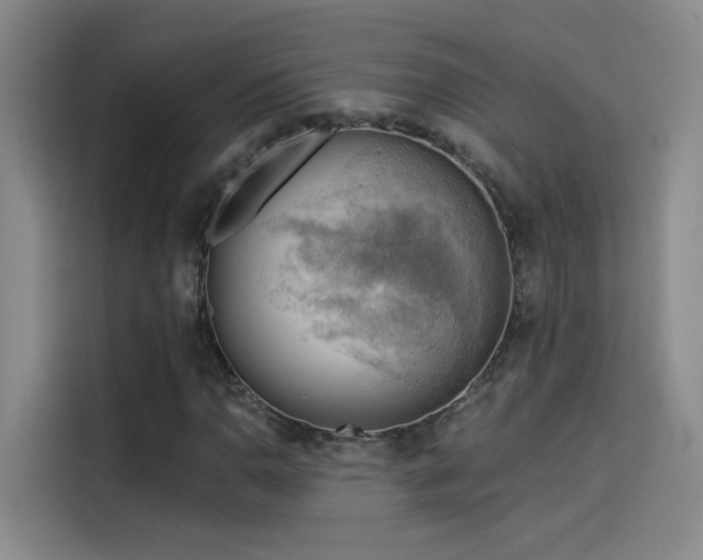 X0000114531110200910191316