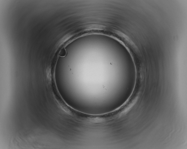 X0000114531113200910191316