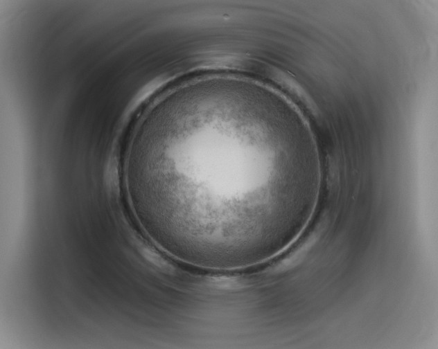 X0000114531114200910191316