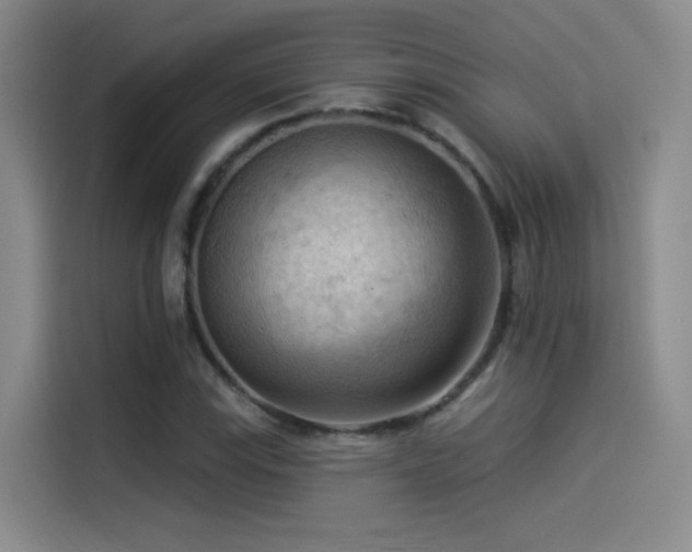 X0000114531115200910191316