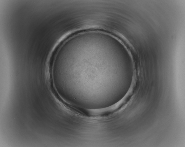 X0000114531118200910191316