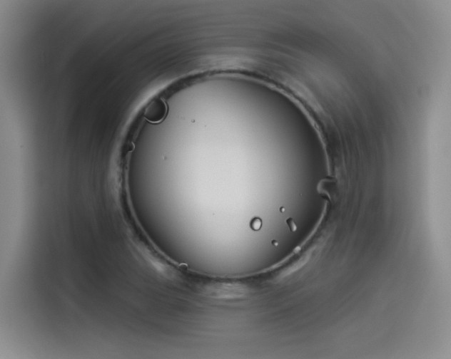 X0000114531119200910191316
