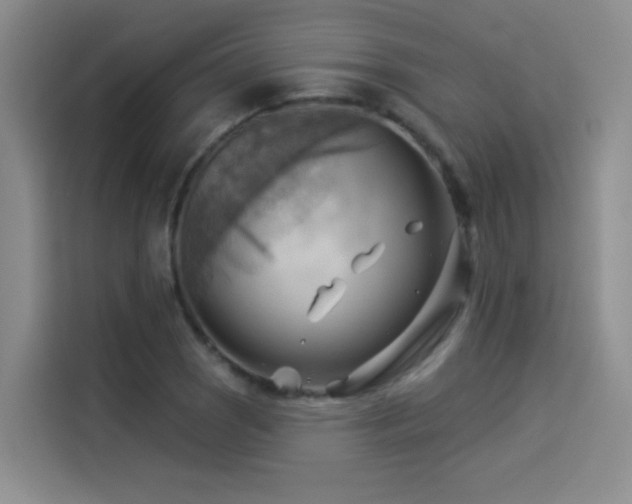 X0000114531121200910191316