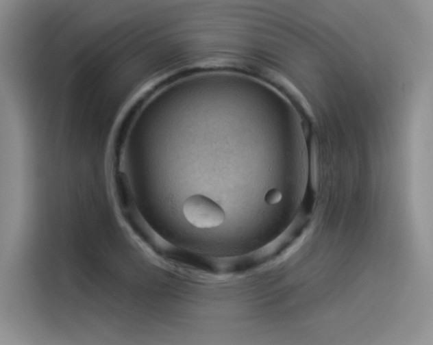 X0000114531122200910191316