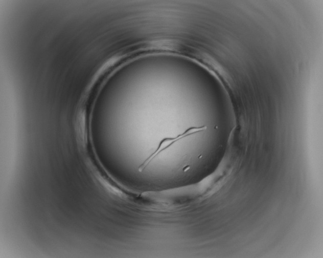 X0000114531123200910191316