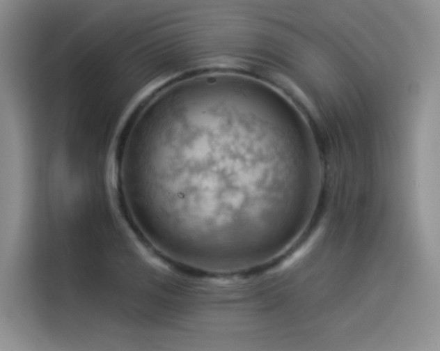 X0000114531125200910191316