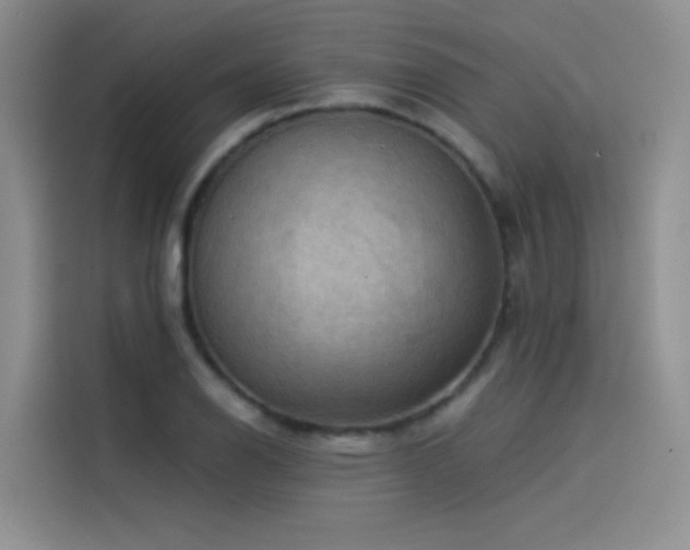 X0000114531126200910191316