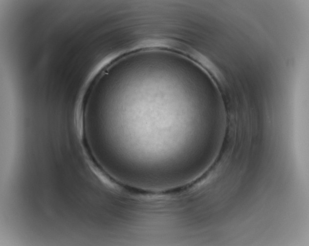 X0000114531127200910191316