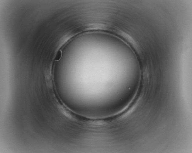 X0000114531129200910191316