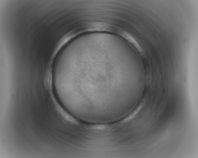 X0000114531130200910191316