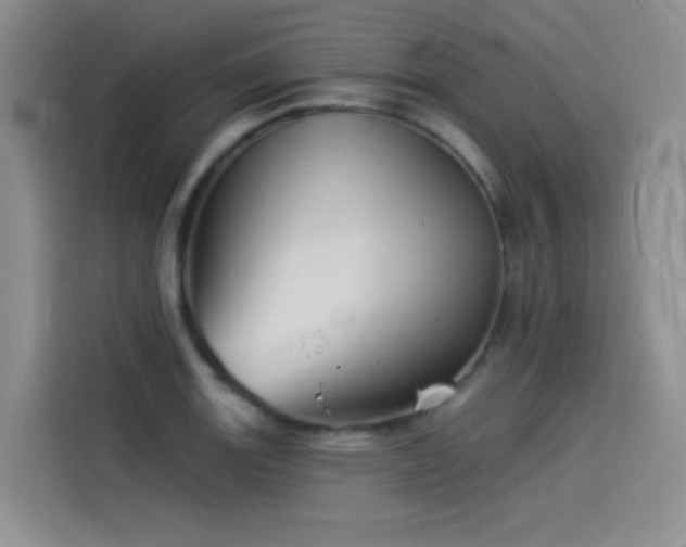 X0000114531131200910191316