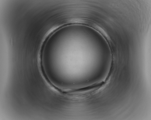 X0000114531133200910191316