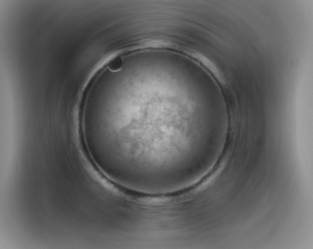 X0000114531134200910191316