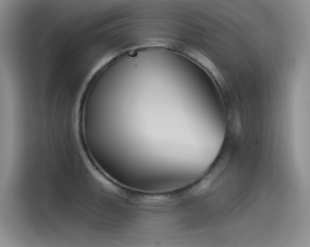 X0000114531135200910191316