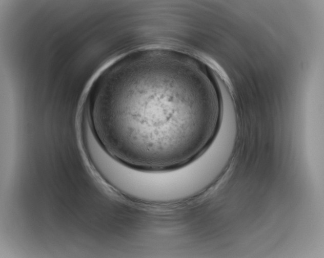 X0000114531138200910191316