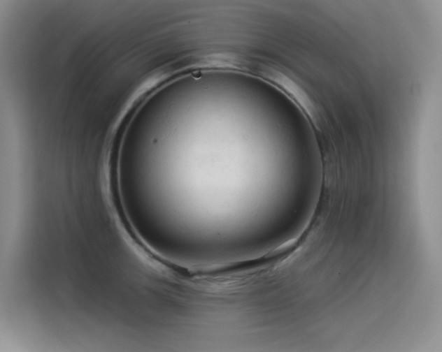 X0000114531139200910191316