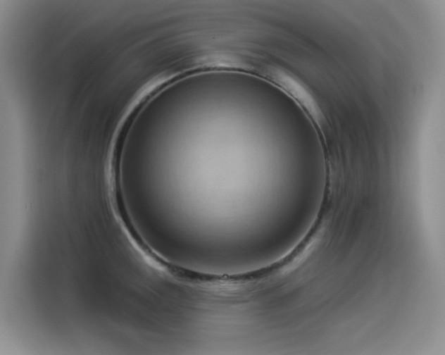X0000114531141200910191316