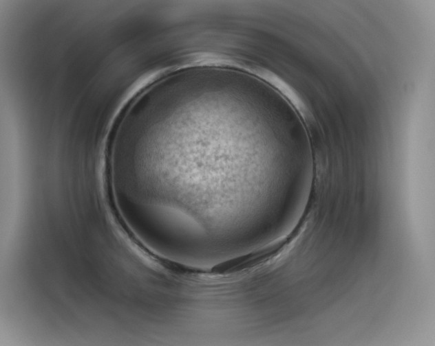 X0000114531142200910191317