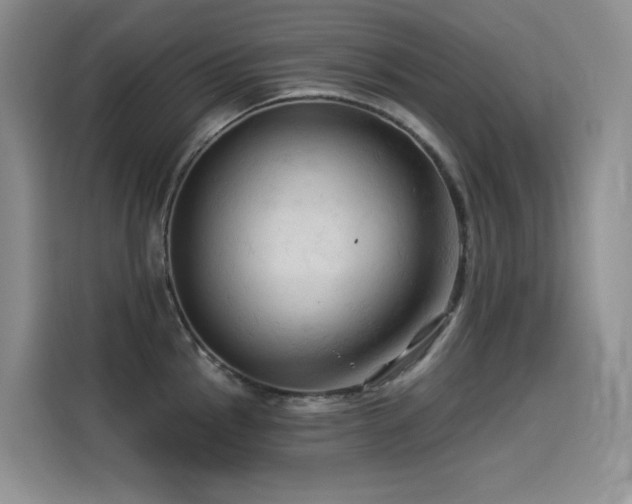X0000114531145200910191317