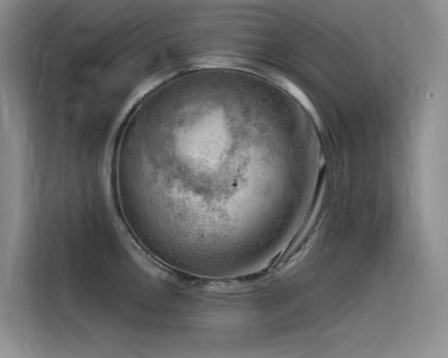 X0000114531146200910191317
