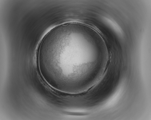 X0000114531151200910191317