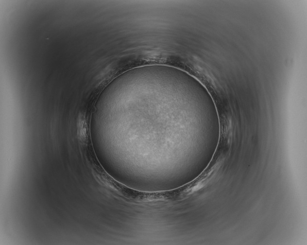X0000114531154200910191316