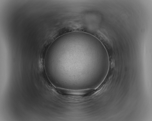 X0000114531156200910191316