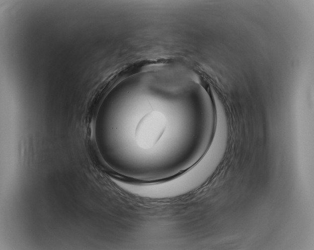 X0000114531157200910191316