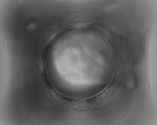 X0000114531158200910191316