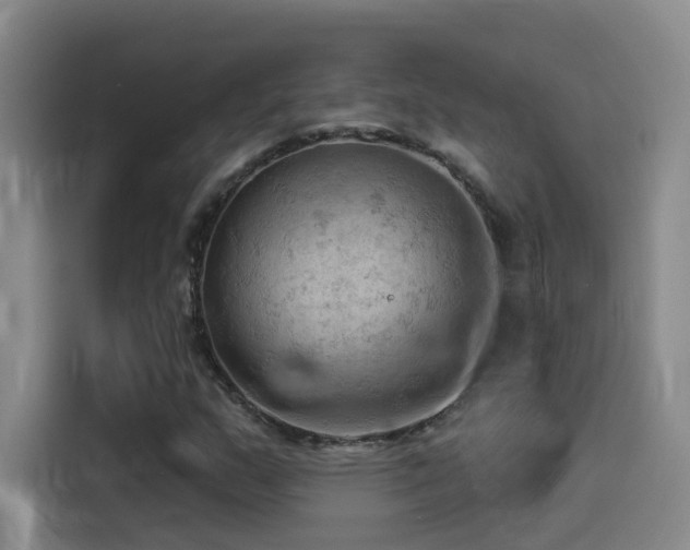 X0000114531159200910191316