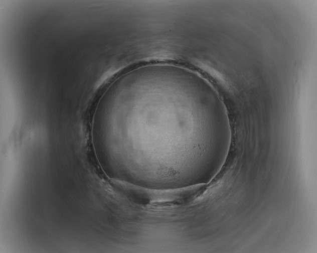 X0000114531160200910191316
