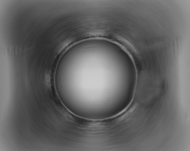 X0000114531162200910191316