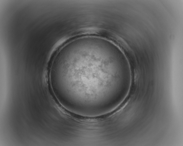 X0000114531164200910191316