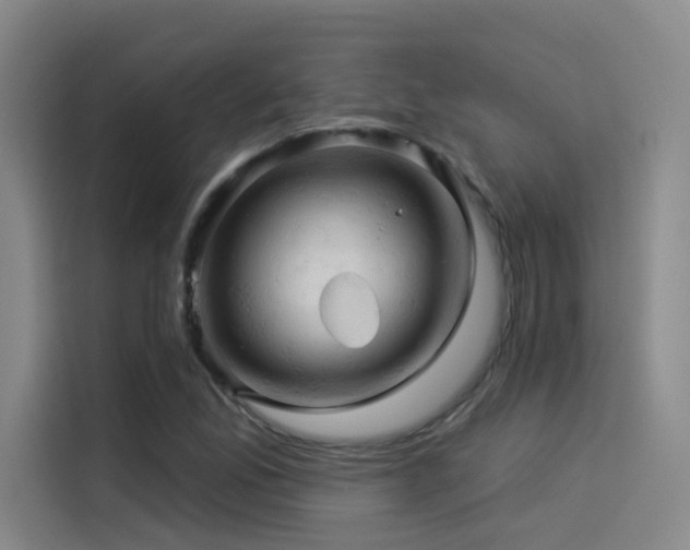 X0000114531165200910191316