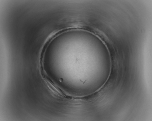 X0000114531168200910191316