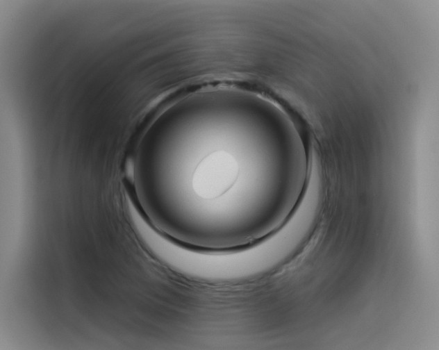 X0000114531169200910191316