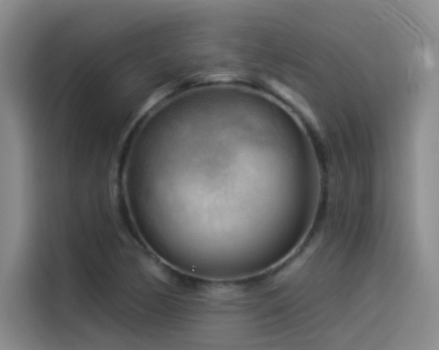 X0000114531170200910191316