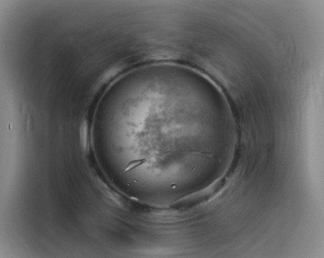 X0000114531171200910191316