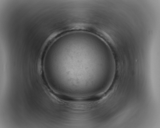 X0000114531172200910191316