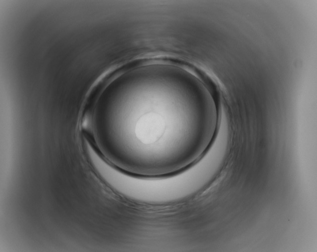 X0000114531173200910191316