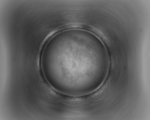 X0000114531174200910191316