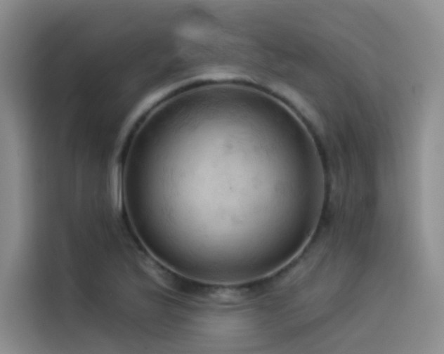 X0000114531175200910191316