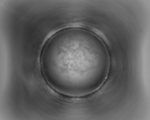 X0000114531176200910191316