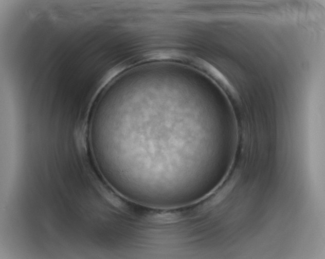 X0000114531178200910191316