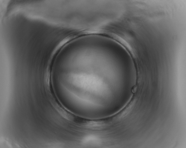 X0000114531179200910191316