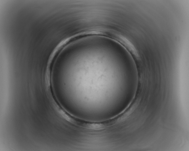 X0000114531180200910191316