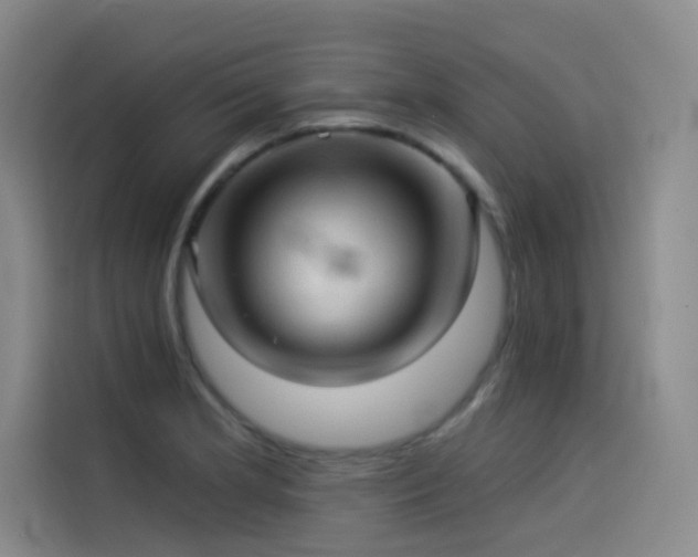 X0000114531181200910191316
