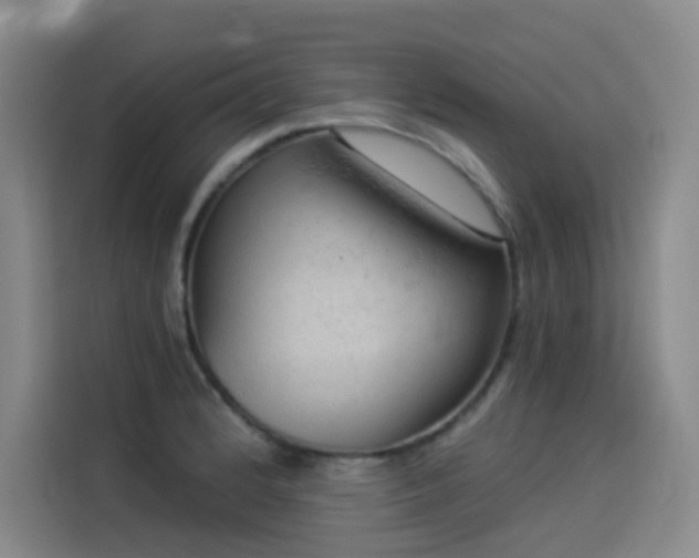 X0000114531184200910191316